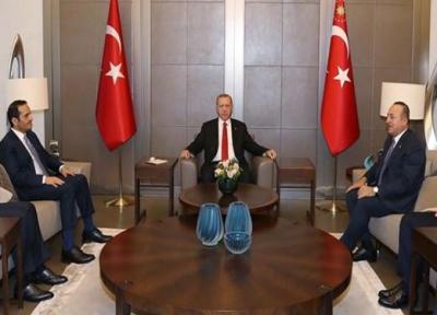 دیدار وزیرخارجه قطر با اردوغان و چاووش اوغلو