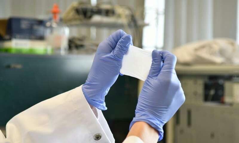 تور های نانویی در برابر ویروس ها مقاومت می کنند ، دستاوردی نوین برای انتقال موثر دارو