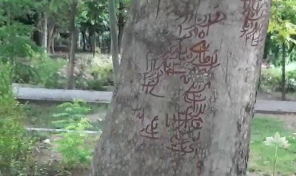 ماجرای نوشته های طلسم مانند روی درختان پارک لاله چیست؟