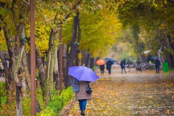 شهریار و شمیران رکورددار بارندگی 24 ساعت گذشته در تهران