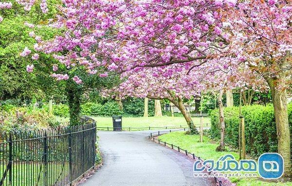 باغ سبز سنت استفان یکی از جاذبه های دیدنی ایرلند به شمار می رود