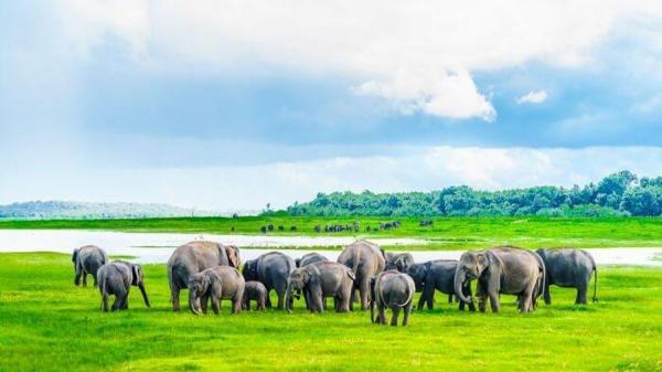 زیباترین پارک های ملی سریلانکا (تور سریلانکا)