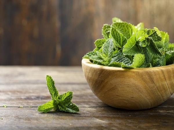20 خواص نعناع برای روزه داران